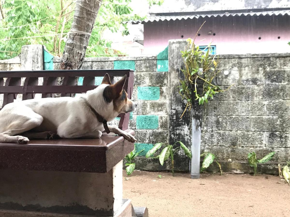 Beachaholic Homestay Alappuzha Екстериор снимка