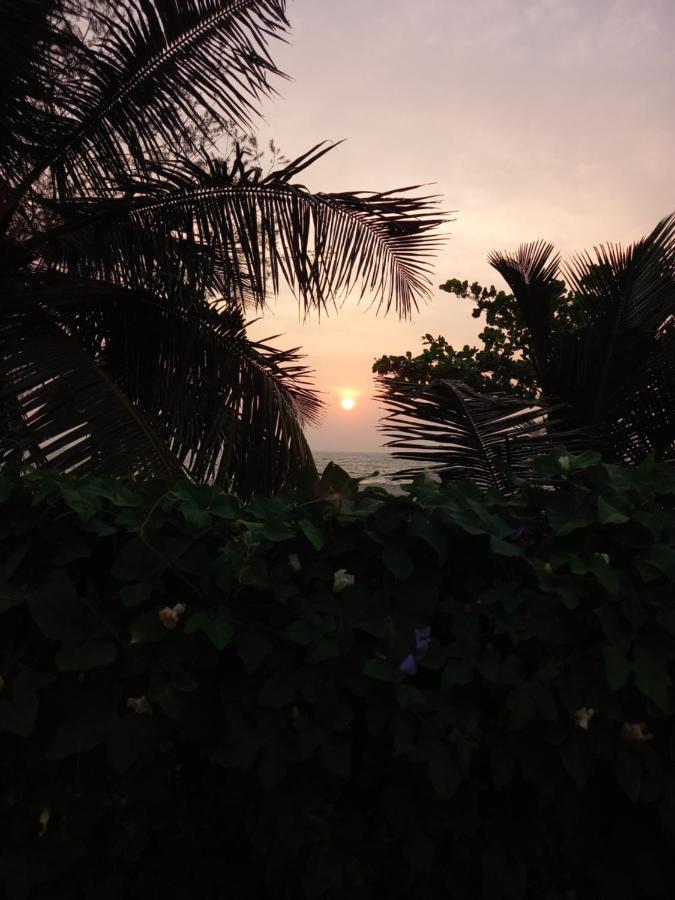 Beachaholic Homestay Alappuzha Екстериор снимка