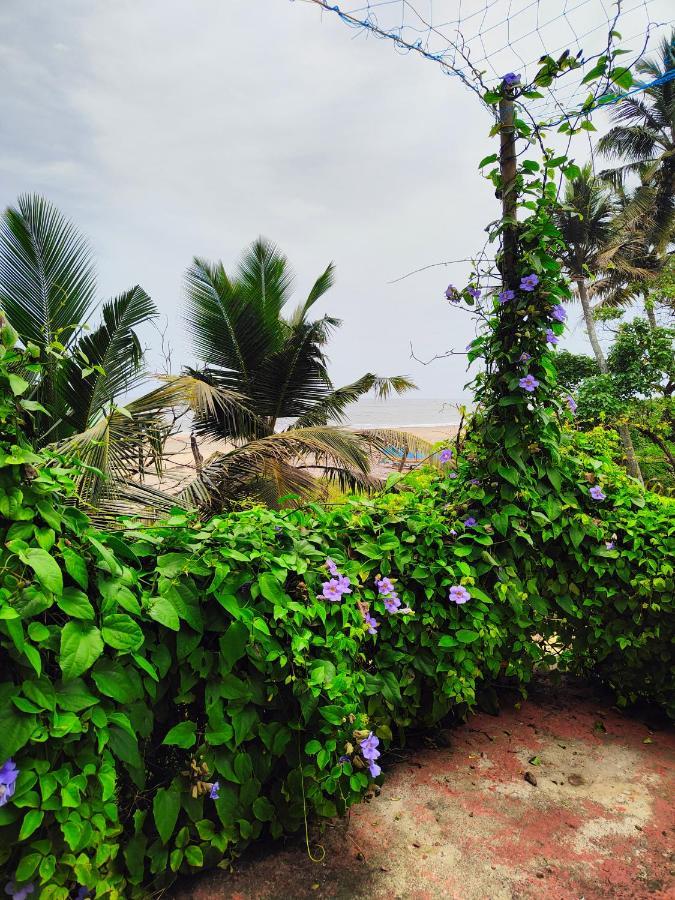 Beachaholic Homestay Alappuzha Екстериор снимка