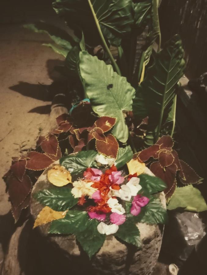 Beachaholic Homestay Alappuzha Екстериор снимка